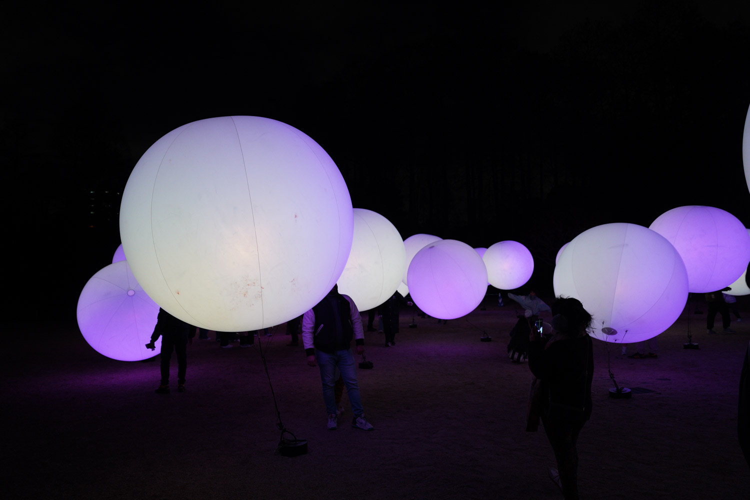 teamLab Botanical Garden Osaka 2