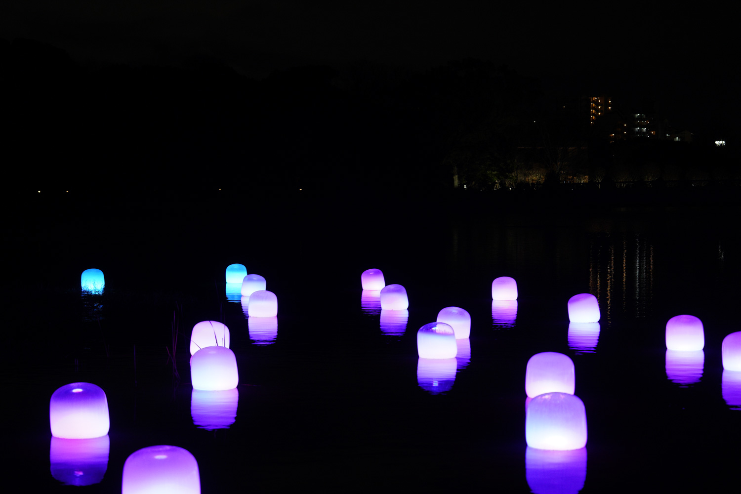 teamLab Botanical Garden Osaka 3