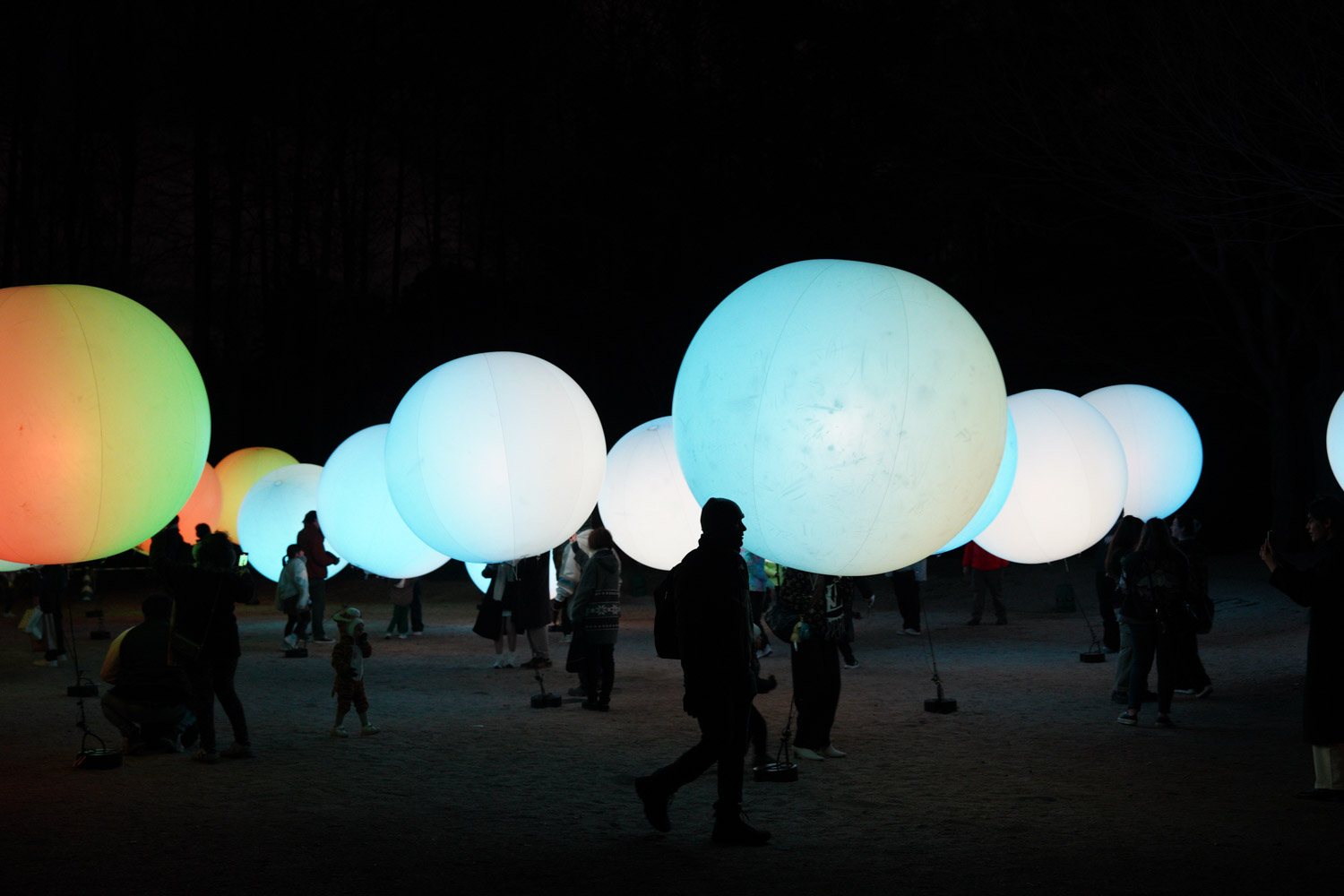 teamLab Botanical Garden Osaka 4